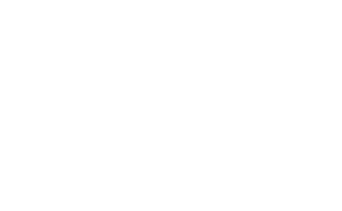 Children's Aid Logo